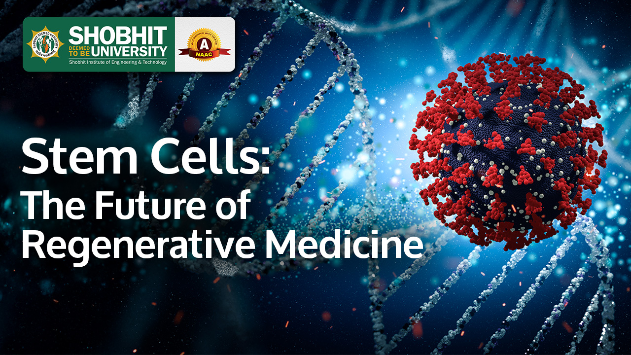 Stem Cells: The Future of Regenerative Medicine